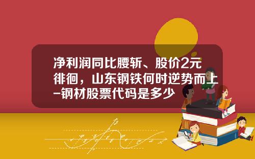 净利润同比腰斩、股价2元徘徊，山东钢铁何时逆势而上-钢材股票代码是多少