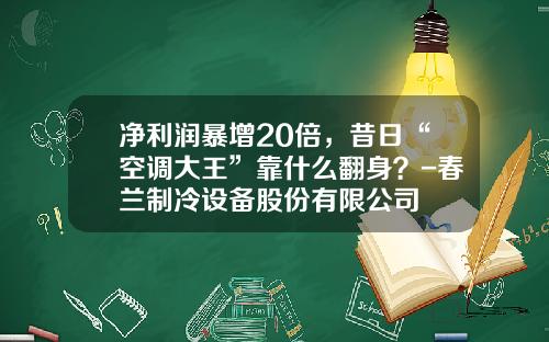 净利润暴增20倍，昔日“空调大王”靠什么翻身？-春兰制冷设备股份有限公司