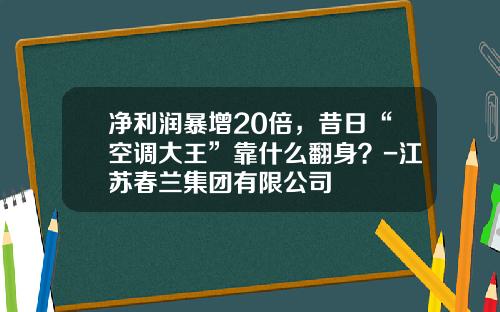 净利润暴增20倍，昔日“空调大王”靠什么翻身？-江苏春兰集团有限公司