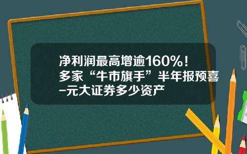 净利润最高增逾160%！多家“牛市旗手”半年报预喜-元大证券多少资产