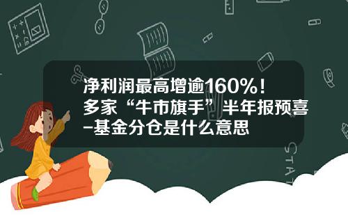 净利润最高增逾160%！多家“牛市旗手”半年报预喜-基金分仓是什么意思