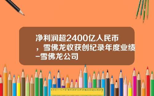 净利润超2400亿人民币，雪佛龙收获创纪录年度业绩-雪佛龙公司