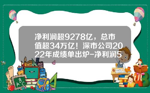 净利润超9278亿，总市值超34万亿！深市公司2022年成绩单出炉-净利润5亿应该多少市值