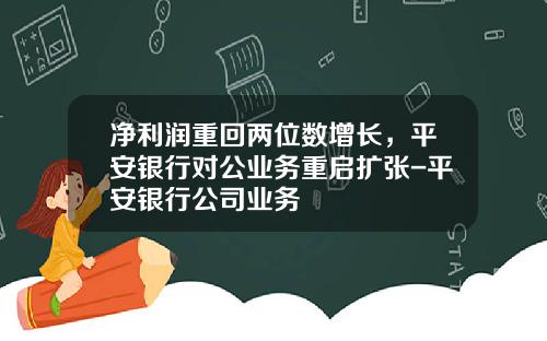 净利润重回两位数增长，平安银行对公业务重启扩张-平安银行公司业务