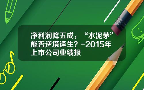 净利润降五成，“水泥茅”能否逆境逢生？-2015年上市公司业绩报