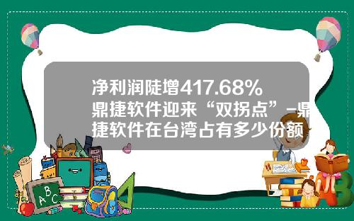 净利润陡增417.68%鼎捷软件迎来“双拐点”-鼎捷软件在台湾占有多少份额