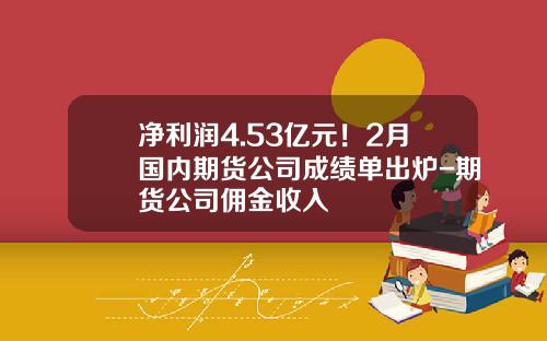 净利润4.53亿元！2月国内期货公司成绩单出炉-期货公司佣金收入