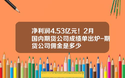 净利润4.53亿元！2月国内期货公司成绩单出炉-期货公司佣金是多少