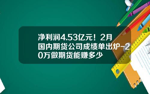 净利润4.53亿元！2月国内期货公司成绩单出炉-20万做期货能赚多少