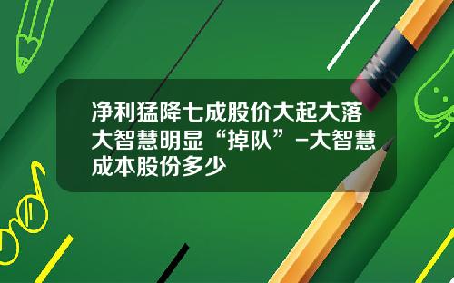 净利猛降七成股价大起大落大智慧明显“掉队”-大智慧成本股份多少