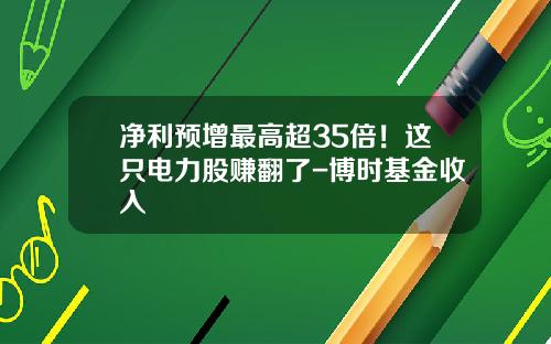净利预增最高超35倍！这只电力股赚翻了-博时基金收入