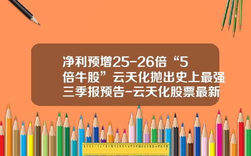 净利预增25-26倍“5倍牛股”云天化抛出史上最强三季报预告-云天化股票最新资讯新闻