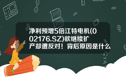 净利预增5倍江特电机(002176.SZ)欲继续扩产却遭反对！背后原因是什么-富宝资讯电机股票行情