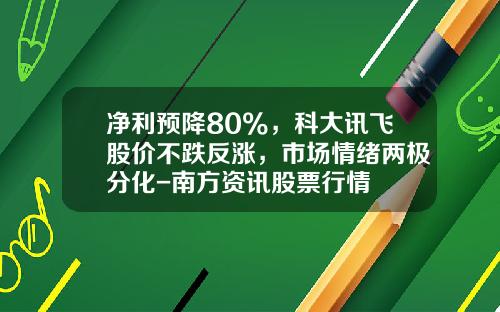 净利预降80%，科大讯飞股价不跌反涨，市场情绪两极分化-南方资讯股票行情