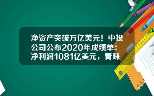 净资产突破万亿美元！中投公司公布2020年成绩单：净利润1081亿美元，青睐这些行业股票-中投公司财报