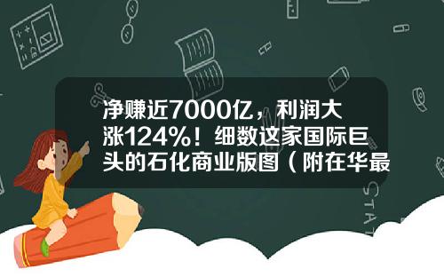 净赚近7000亿，利润大涨124%！细数这家国际巨头的石化商业版图（附在华最新布局）-拥有油田的上市公司