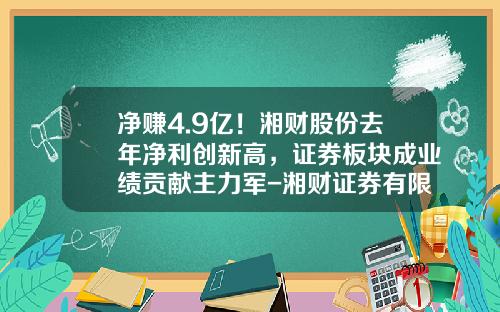 净赚4.9亿！湘财股份去年净利创新高，证券板块成业绩贡献主力军-湘财证券有限责任公司有多少股份