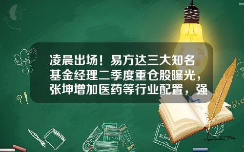 凌晨出场！易方达三大知名基金经理二季度重仓股曝光，张坤增加医药等行业配置，强调做判断要回归常识-凌晨基金经理
