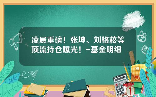 凌晨重磅！张坤、刘格菘等顶流持仓曝光！-基金明细