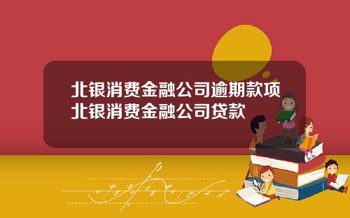 北银消费金融公司逾期款项北银消费金融公司贷款