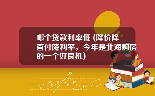 哪个贷款利率低 (降价降首付降利率，今年是北海购房的一个好良机)