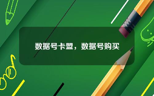 数据号卡盟，数据号购买