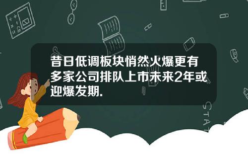 昔日低调板块悄然火爆更有多家公司排队上市未来2年或迎爆发期.