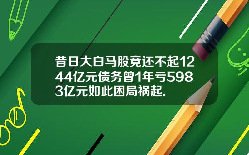 昔日大白马股竟还不起1244亿元债务曾1年亏5983亿元如此困局祸起.
