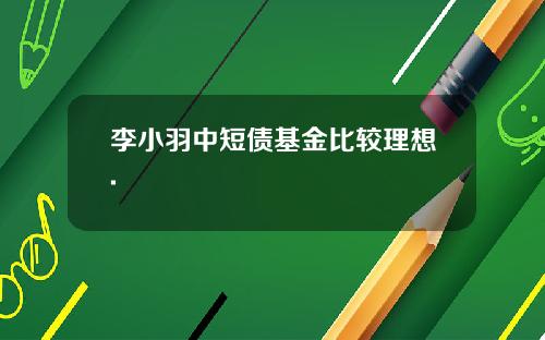 李小羽中短债基金比较理想.