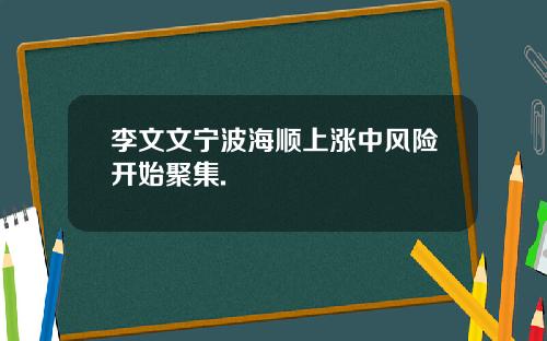 李文文宁波海顺上涨中风险开始聚集.