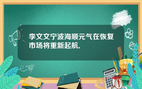李文文宁波海顺元气在恢复市场将重新起航.
