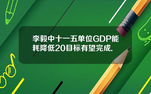 李毅中十一五单位GDP能耗降低20目标有望完成.