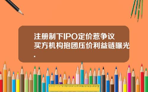 注册制下IPO定价惹争议买方机构抱团压价利益链曝光.