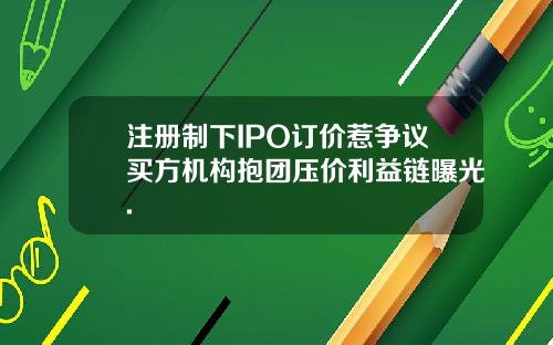 注册制下IPO订价惹争议买方机构抱团压价利益链曝光.