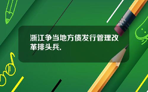 浙江争当地方债发行管理改革排头兵.