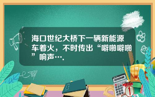 海口世纪大桥下一辆新能源车着火，不时传出“噼啪噼啪”响声….