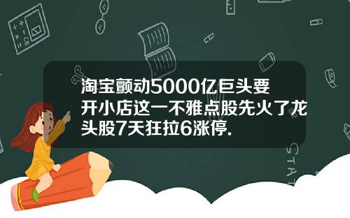 淘宝颤动5000亿巨头要开小店这一不雅点股先火了龙头股7天狂拉6涨停.