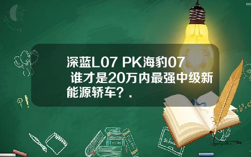 深蓝L07 PK海豹07 谁才是20万内最强中级新能源轿车？.