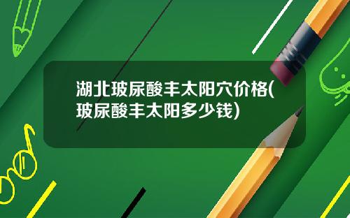 湖北玻尿酸丰太阳穴价格(玻尿酸丰太阳多少钱)