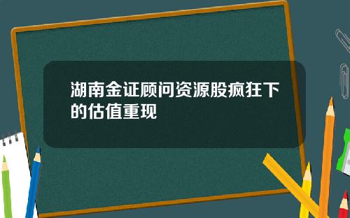 湖南金证顾问资源股疯狂下的估值重现