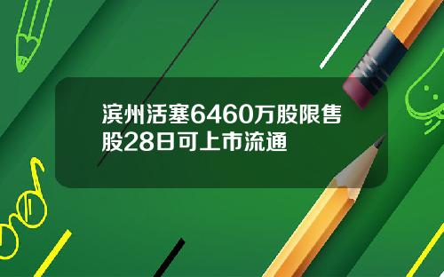 滨州活塞6460万股限售股28日可上市流通