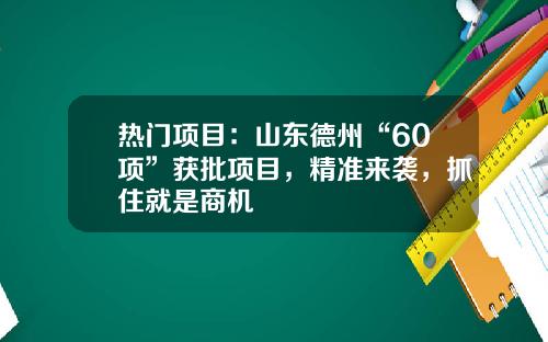 热门项目：山东德州“60项”获批项目，精准来袭，抓住就是商机