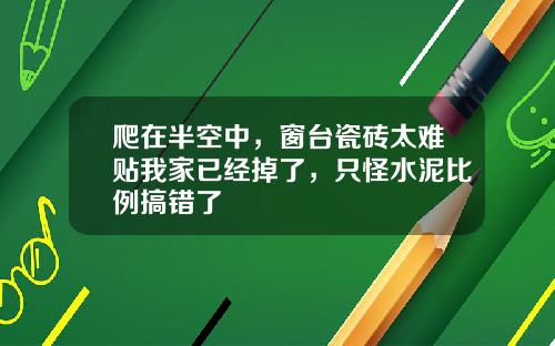 爬在半空中，窗台瓷砖太难贴我家已经掉了，只怪水泥比例搞错了