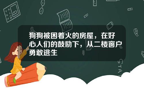 狗狗被困着火的房屋，在好心人们的鼓励下，从二楼窗户勇敢逃生