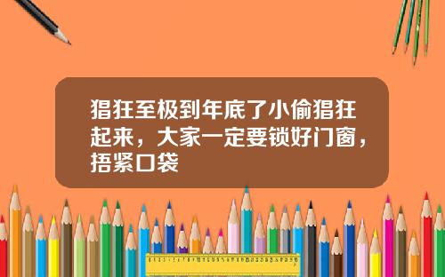 猖狂至极到年底了小偷猖狂起来，大家一定要锁好门窗，捂紧口袋