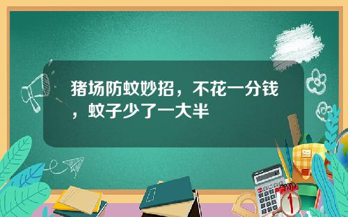 猪场防蚊妙招，不花一分钱，蚊子少了一大半