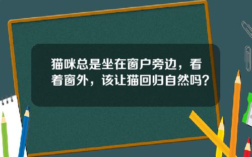 猫咪总是坐在窗户旁边，看着窗外，该让猫回归自然吗？