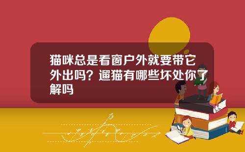 猫咪总是看窗户外就要带它外出吗？遛猫有哪些坏处你了解吗