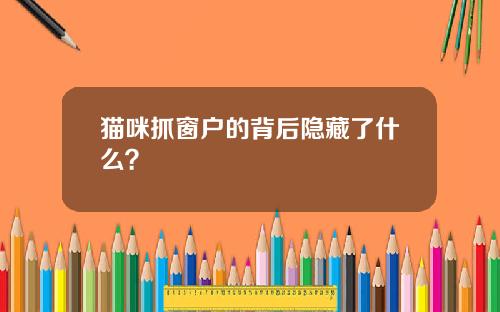 猫咪抓窗户的背后隐藏了什么？