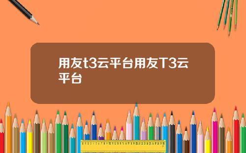 用友t3云平台用友T3云平台